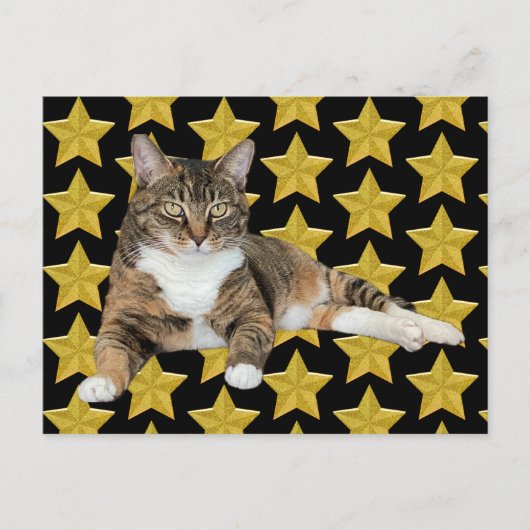Postcrossing - Annie's Star: Kat Briefkaart (Voorkant)