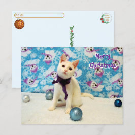 Postcrossing - Audrey's Christmas - Kat Briefkaart