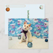 Postcrossing - Audrey's Christmas - Kat Briefkaart (Voorkant / Achterkant)