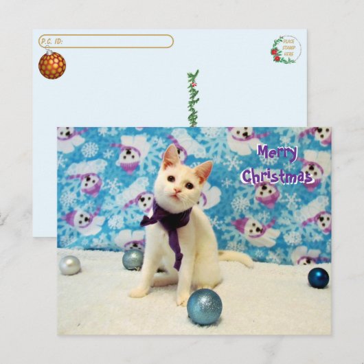 Postcrossing - Audrey's Christmas - Kat Briefkaart (Voorkant / Achterkant)