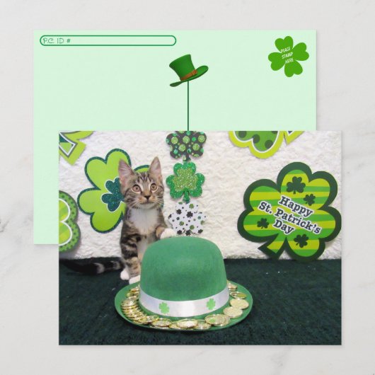 Postcrossing - Bandit The Cat's St. Patrick's Day Briefkaart (Voorkant / Achterkant)