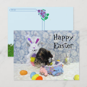 Postcrossing - Bandit's Paasmand - Briefkaart