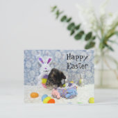 Postcrossing - Bandit's Paasmand - Briefkaart (Staand voorkant)
