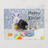 Postcrossing - Bandit's Paasmand - Briefkaart (Voorkant)