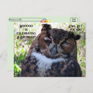 Postcrossing Birthday Great Horned Owl Briefkaart