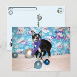 Postcrossing - Cowboy's Christmas - Kat Briefkaart