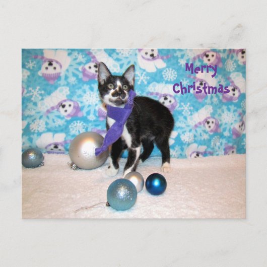 Postcrossing - Cowboy's Christmas - Kat Briefkaart (Voorkant)
