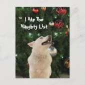 Postcrossing - Crystal's Ondeugende Lijst Kerstmis Briefkaart (Voorkant)