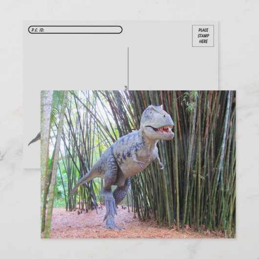Postcrossing - Daspletosaur - Dinosaurus - Briefka Briefkaart (Voorkant / Achterkant)