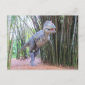 Postcrossing - Daspletosaur - Dinosaurus - Briefka Briefkaart (Voorkant)