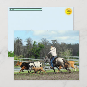 Postcrossing - De Roundup - Cowboy Briefkaart