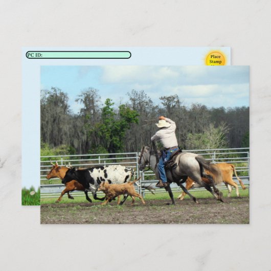Postcrossing - De Roundup - Cowboy Briefkaart (Voorkant / Achterkant)