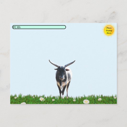 Postcrossing - De Roundup - Cowboy Briefkaart (Achterkant)