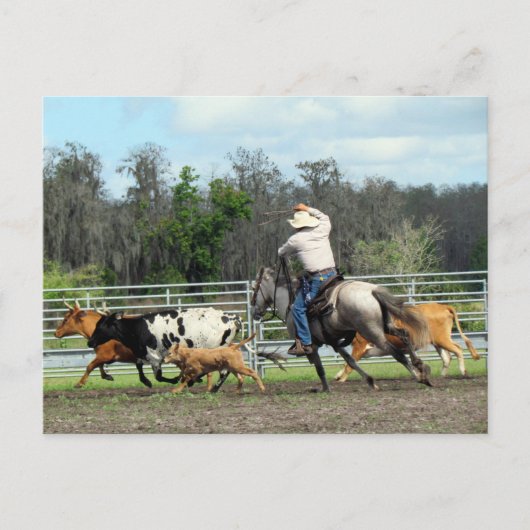 Postcrossing - De Roundup - Cowboy Briefkaart (Voorkant)