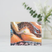 Postcrossing - Den of Snakes Briefkaart (Staand voorkant)