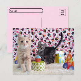 Postcrossing - Fijne verjaardag katten Briefkaart