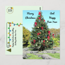 Postcrossing - Florida Gator Kerstboom Briefkaart