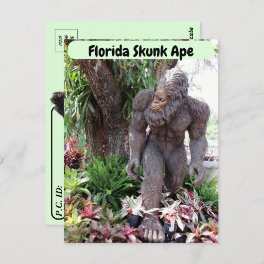 Postcrossing - Foto van Florida Skunk Ape Briefkaart (Voorkant / Achterkant)