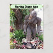 Postcrossing - Foto van Florida Skunk Ape Briefkaart (Voorkant)