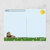 Postcrossing - Foto van Lion Roaring Briefkaart (Achterkant)