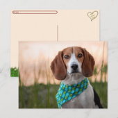 Postcrossing - Foxhound Postcard Feestdagenkaart (Voorkant / Achterkant)