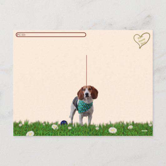 Postcrossing - Foxhound Postcard Feestdagenkaart (Achterkant)