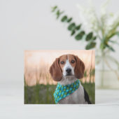 Postcrossing - Foxhound Postkaart Feestdagenkaart (Staand voorkant)