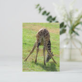 Postcrossing Funny Giraffe Butt Briefkaart (Staand voorkant)