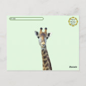 Postcrossing Funny Giraffe Butt Briefkaart (Achterkant)