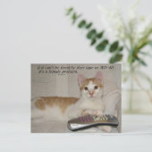 Postcrossing - Funny Quote Cat Briefkaart (Staand voorkant)