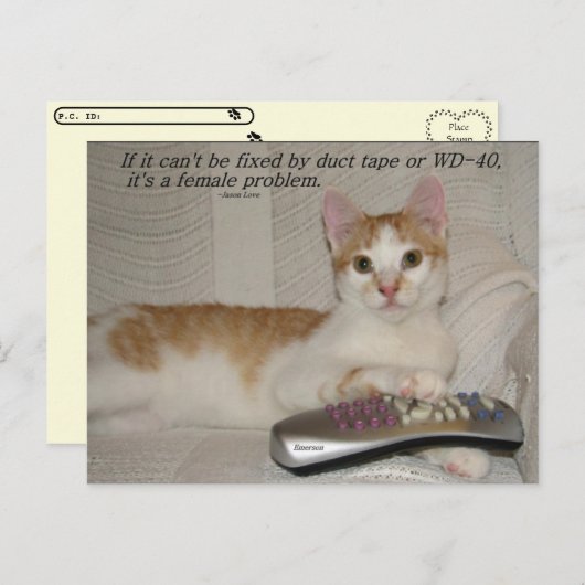 Postcrossing - Funny Quote Cat Briefkaart (Voorkant / Achterkant)