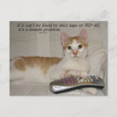 Postcrossing - Funny Quote Cat Briefkaart (Voorkant)
