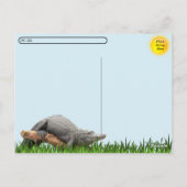 Postcrossing - Gator Reflecties in het moeras Briefkaart (Achterkant)