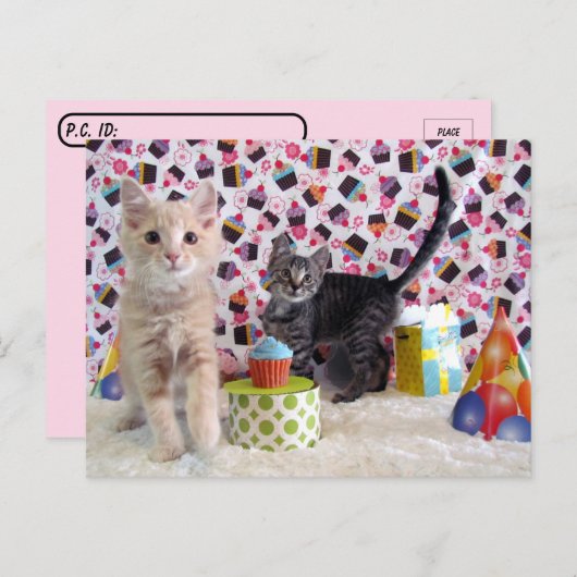 Postcrossing - Gefeliciteerd Verjaardag Katten Briefkaart (Voorkant / Achterkant)