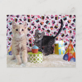 Postcrossing - Gefeliciteerd Verjaardag Katten Briefkaart