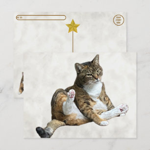 Postcrossing - Gekke kattenpose - Annie's Briefkaa Briefkaart