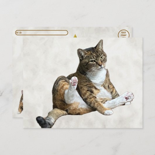 Postcrossing - Gekke kattenpose - Annie's Briefkaa Briefkaart (Voorkant / Achterkant)