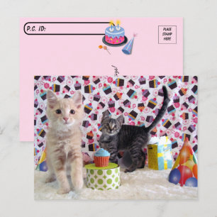 Postcrossing - Gelukkige verjaardag - Kat Briefkaart
