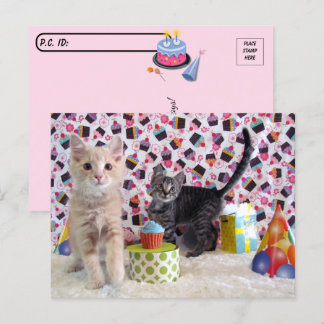 Postcrossing - Gelukkige verjaardag - Kat Briefkaart