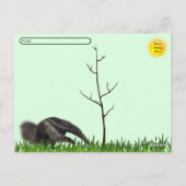 Postcrossing Giant Anteater Briefkaart (Achterkant)