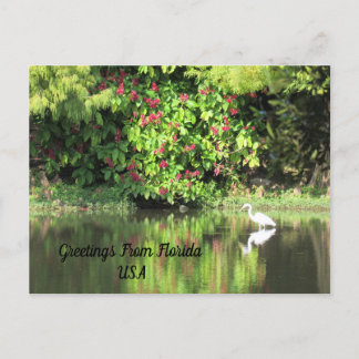 Postcrossing - Greetings from - Egret Landscape Feestdagenkaart