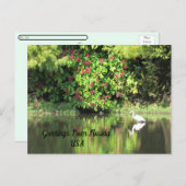 Postcrossing - Greetings from - Egret Landscape Feestdagenkaart (Voorkant / Achterkant)