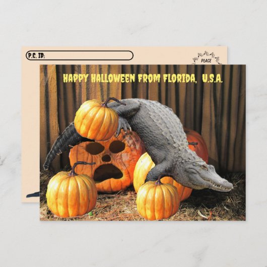 Postcrossing - Halloween pompoenen en gator Briefkaart (Voorkant / Achterkant)