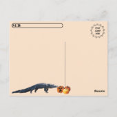 Postcrossing - Halloween pompoenen en gator Briefkaart (Achterkant)