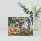 Postcrossing - Halloween skelet en pompoen Feestdagenkaart (Staand voorkant)