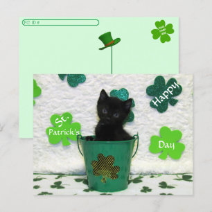 Postcrossing Handsome Jack = Cat St. Patrick's Day Briefkaart