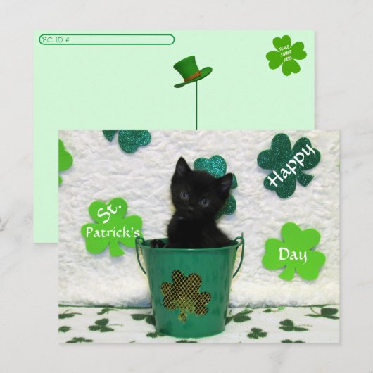 Postcrossing Handsome Jack = Cat St. Patrick's Day Briefkaart (Voorkant / Achterkant)