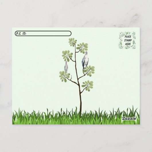 Postcrossing - Houtooievaar en Juvenielen Briefkaart (Achterkant)