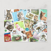 Postcrossing International Cat Stamps Briefkaart (Voorkant)