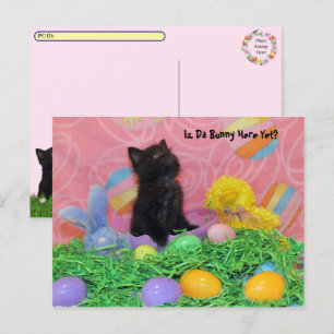 Postcrossing - Is Da Easter Bunny er al? Easter Feestdagenkaart
